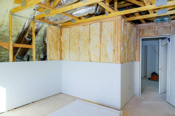 Best Local Insulation Services  in Baxley, GA