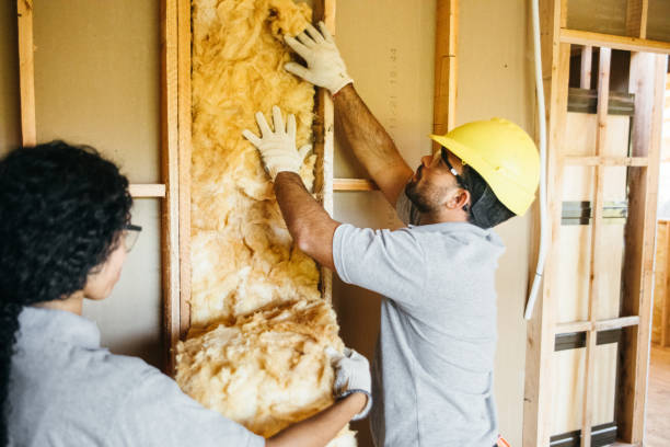 Insulation Contractors for Homes in Baxley, GA